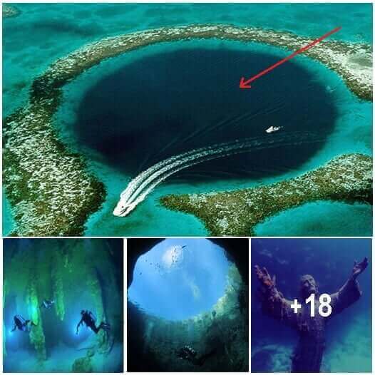 The first discovery from the bottom of the world’s largest blue hole ...